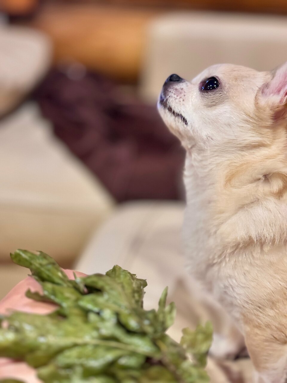 Гостиница Медвежий угол Суздаль-138