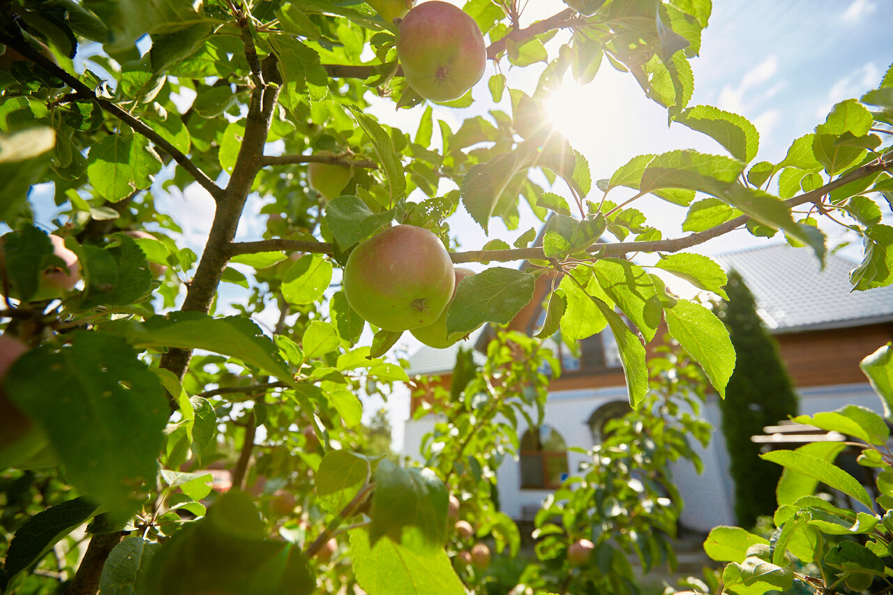 Гостиница Медвежий угол Суздаль-139