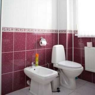 Гостиница Медвежий угол Суздаль Делюкс трехместный (двуспальная кровать + диван)-4